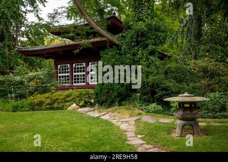 Casa da tè e lanterna in pietra nel giardino giapponese di Leverkusen, Renania settentrionale-Vestfalia, Germania. Teehaus und Steinlaterne im Japanischen Garten a le Foto Stock