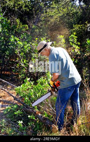 L'uomo anziano lavora per tagliare la legna da ardere per l'inverno. Ha in mano una motosega e la applica a un albero abbattuto. Indossa jeans, camicia da lavoro e cappello. Foto Stock