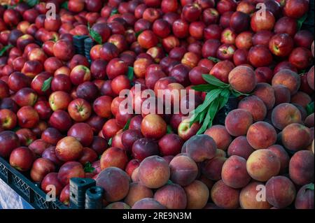 Vendita di nettarine nel tradizionale mercato turco agricolo, un banco ripieno di frutta fresca Foto Stock