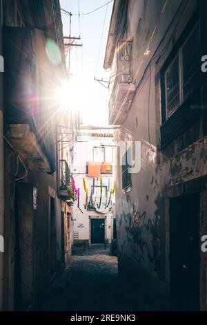 Esplora la storica Altstadt con edifici iconici, ascensori e tram nelle antiche corsie Foto Stock