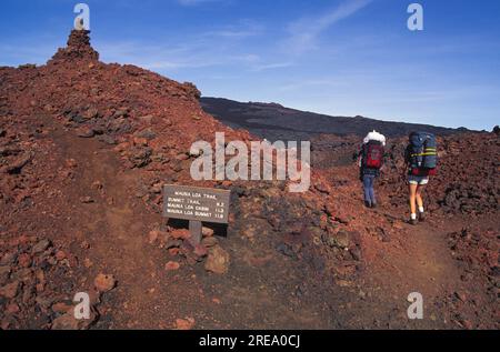 Escursione al cratere Mauna Loa, grande isola delle Hawaii Foto Stock