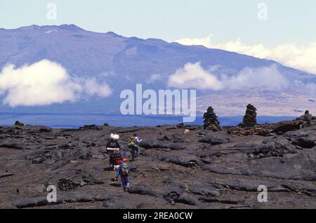 Escursione al cratere Mauna Loa, grande isola delle Hawaii Foto Stock