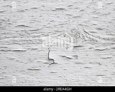 Primo piano della vecchia vernice bianca su legno incrinata e sbucciata Foto Stock