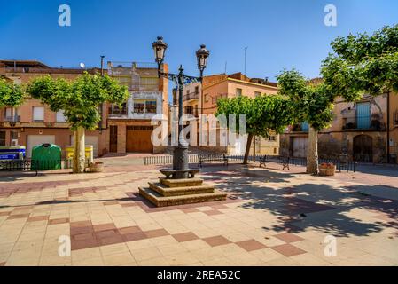 Piazza bassa, a Bovera, in una mattinata di primavera (Les Garrigues, Lleida, Catalogna, Spagna), ESP: Plaza de la bassa de Bovera en una mañana de primavera Foto Stock