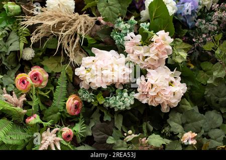 Fiori secchi. Muro di rose. Texture decorazione floreale. Bouquet luminoso. Dettagli parete impianto. Foto Stock