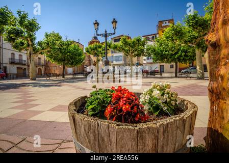 Piazza bassa, a Bovera, in una mattinata di primavera (Les Garrigues, Lleida, Catalogna, Spagna), ESP: Plaza de la bassa de Bovera en una mañana de primavera Foto Stock