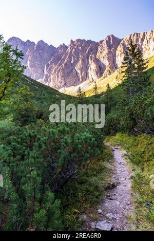 Valle della dolina di Javorova con cime sopra le montagne degli alti Tatra in Slovacchia durante la tarda mattinata estiva con cielo limpido Foto Stock