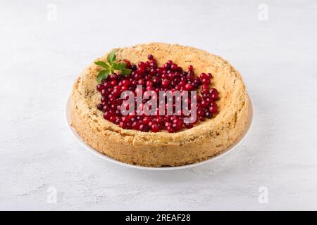 Cheesecake Royal Curd decorato con mirtilli rossi e menta su sfondo grigio chiaro. Foto Stock