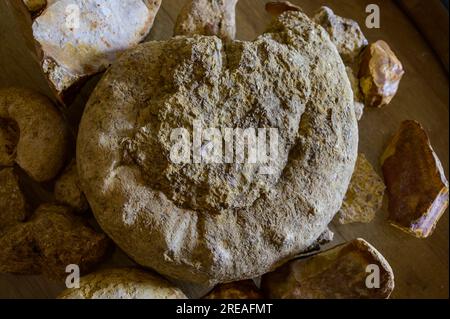 Tour enologico nelle cantine della denominazione Pouilly-fumi, esempi di terreni di vigneti della denominazione Pouilly-fumi, ciottoli di selce, argilla, caillottes limeston Foto Stock