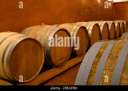 Cantine sotterranee con botti per l'invecchiamento del vino rosso secco nel villaggio di produzione di vino Chateauneuf-du-Pape in Francia, con vigneti verdi su un grande peb Foto Stock