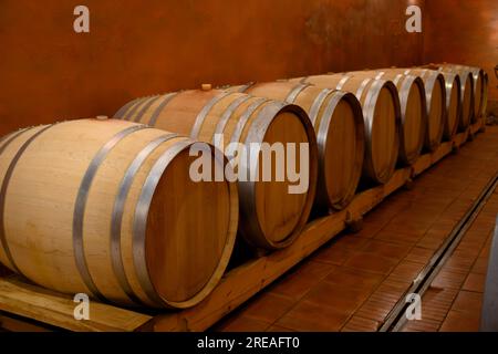 Cantine sotterranee con botti per l'invecchiamento del vino rosso secco nel villaggio di produzione di vino Chateauneuf-du-Pape in Francia, con vigneti verdi su un grande peb Foto Stock