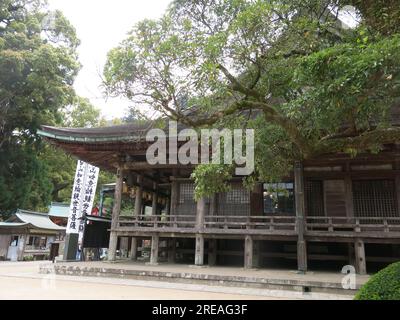 Alcuni degli edifici del tempio a Seigantoji, in alto sul Monte Nachi e uno dei principali percorsi di pellegrinaggio per il sentiero Kumano Kodo. Foto Stock