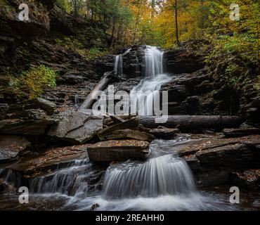 Cascata al Ricketts Glen State Park, Pennsylvania Foto Stock