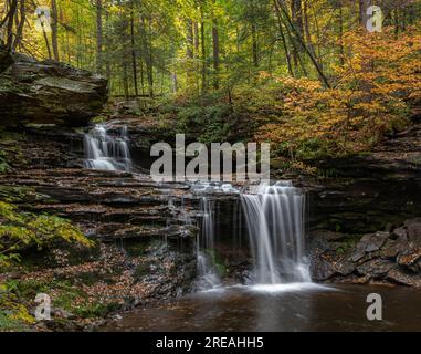 Ricketts Glen State Park, Pennsylvania Foto Stock