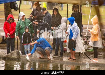 Fountain Valley, California, USA. 2 febbraio 2019. Un pesante pesce gatto piega la canna da pesca di un pescatore mentre fa atterrare il suo pescato in un derby di pesca giorno piovoso in un parco di Fountain Valley, CALIFORNIA. (Immagine di credito: © Spencer Grant/ZUMA Press Wire) SOLO USO EDITORIALE! Non per USO commerciale! Foto Stock