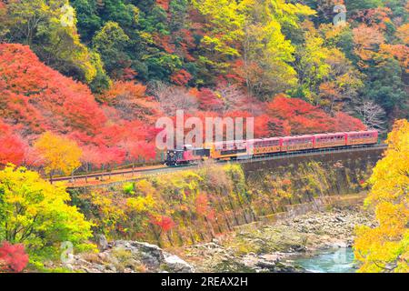 In autunno parte il treno tram Foto Stock