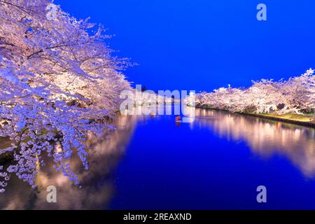 Luce dei ciliegi in fiore al castello di Hirosaki Foto Stock