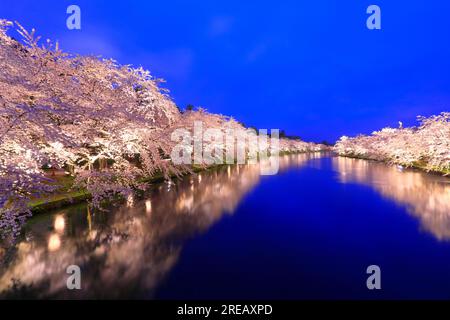 Luce dei ciliegi in fiore al castello di Hirosaki Foto Stock