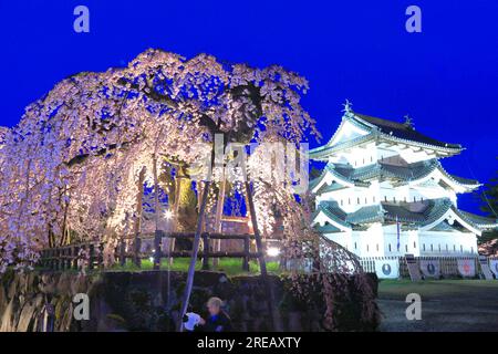 Luce dei ciliegi in fiore al castello di Hirosaki Foto Stock