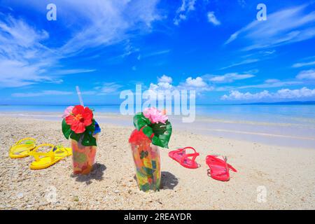 Immagine di una spiaggia a Okinawa Foto Stock