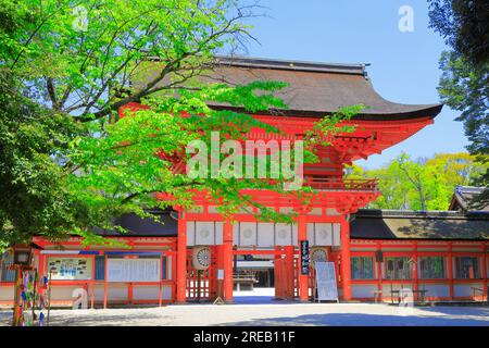 Santuario Shimogamo in verde fresco Foto Stock