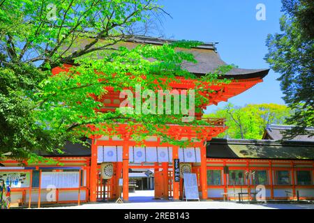 Santuario Shimogamo in verde fresco Foto Stock