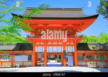 Santuario Shimogamo in verde fresco Foto Stock