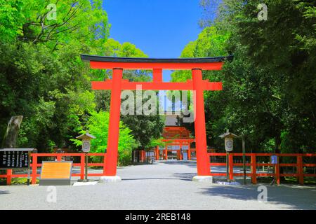 Santuario Shimogamo in verde fresco Foto Stock