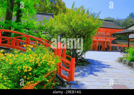 Santuario Shimogamo in verde fresco Foto Stock