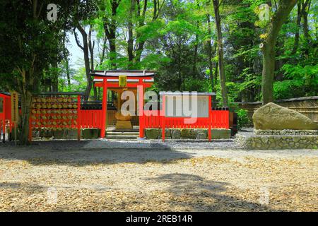 Santuario Shimogamo in verde fresco Foto Stock