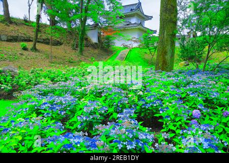 Castello Nijo con ortensie in fiore Foto Stock