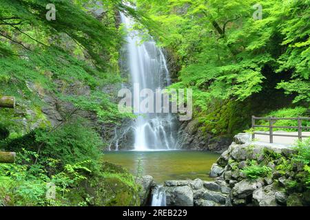 Minoh Falls all'inizio dell'estate Foto Stock