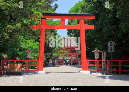 Santuario Shimogamo in verde fresco Foto Stock