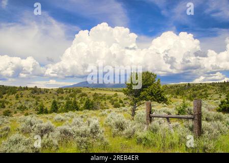 In un giorno d'estate, grandi nubi di Cumulus si formano sopra una montagna lontana, vista oltre una recinzione e campi verdi ondulati vicino a Townsend, Montana. Foto Stock