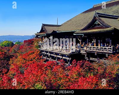 Autunno Foto Stock