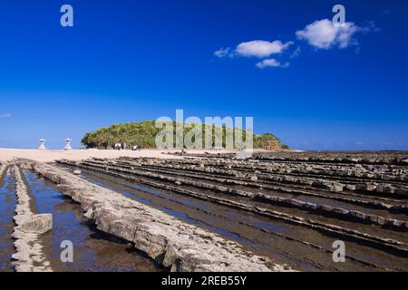 Aoshima Island e Oni-no-washing-Iwa Foto Stock