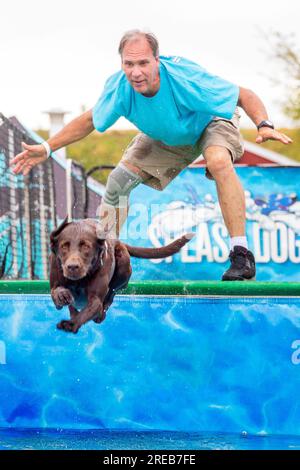 Costa Mesa, California, USA. 27 aprile 2019. Con l'incoraggiamento del suo proprietario, un cane da spruzzo salta da un molo a una fiera della contea a Costa Mesa, CALIFORNIA. Splash Dogs è un'azienda appassionata di cani che organizza e promuove eventi di salto in bacino negli Stati Uniti. (Immagine di credito: © Spencer Grant/ZUMA Press Wire) SOLO USO EDITORIALE! Non per USO commerciale! Foto Stock