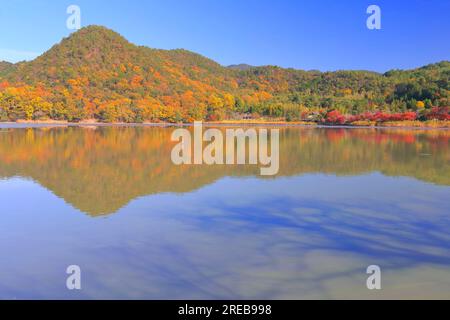 Stagno di Hirozawa in autunno Foto Stock