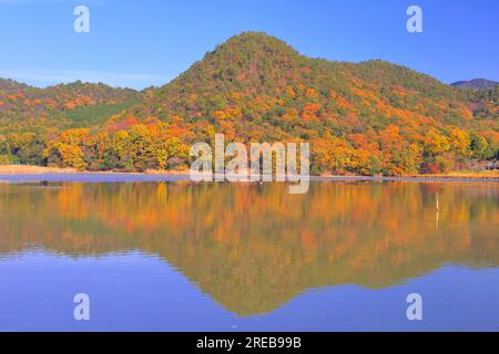 Stagno di Hirozawa in autunno Foto Stock