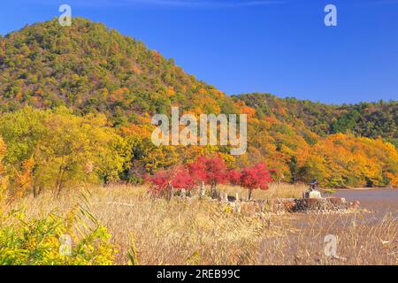 Stagno di Hirozawa in autunno Foto Stock