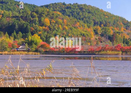 Stagno di Hirozawa in autunno Foto Stock