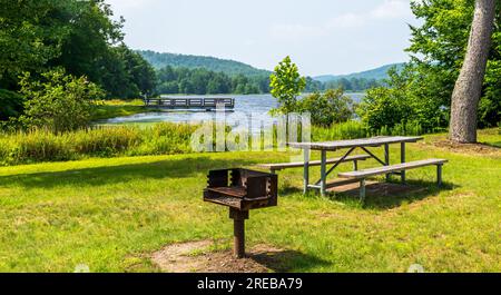 Un barbecue in metallo e un tavolo da picnic al Chapman State Park di Clarendon, Pennsylvania, USA in una soleggiata giornata estiva Foto Stock
