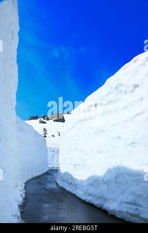 Aspite Line a Hachimantai in primavera Foto Stock