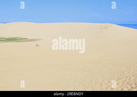 Tottori dune di sabbia Foto Stock