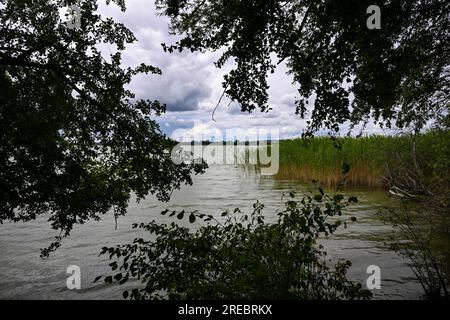 Prenzlau, Germania. 20 luglio 2023. L'Unteruckersee nel campeggio Sonnenkap nella regione di Uckermark. Oltre alle classiche aree per tende e roulotte, il sito offre anche comode tende glamping e tinyhouse, cioè piccole case per le vacanze. Glamping e' in voga. Le tende, con cucina e bagno in parte, o per esempio le botti da campeggio offrono un buon comfort. Crediti: Jens Kalaene/dpa/Alamy Live News Foto Stock