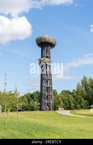 Rouge, Estonia - 07.24.2023: Torre di guardia di Pesapuu (Rouge Oobikuoru vaatetorn Pesapuu) a Rouge, Estonia Foto Stock