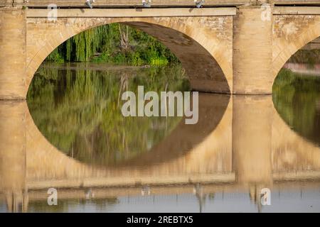 puente de Piedra, Puente de San Juan de Ortega, 1884, Logroño, la Rioja, Spagna, Europa Foto Stock