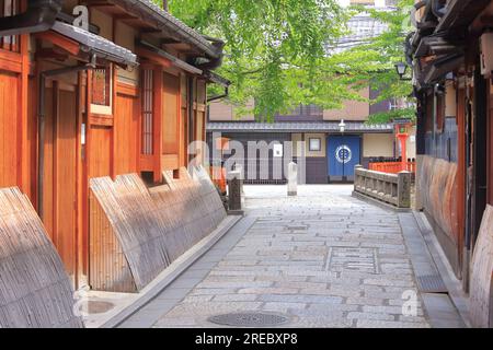 Gion in verde fresco Foto Stock