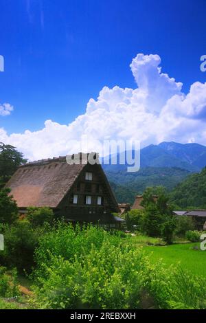 Shirakawa-go Foto Stock