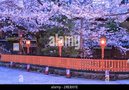 Fiume Gion Shirakawa in primavera Foto Stock